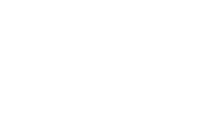[CinQ Team of Teams Academy]